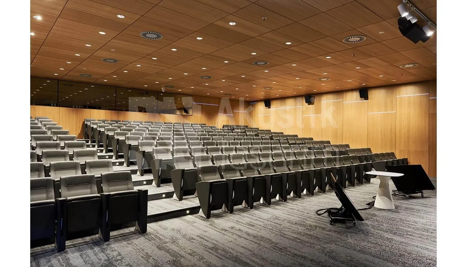 Akustik Ahşap Panel ürün görseli 2